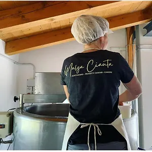 https://malga-ciauta.hotelinveneto.com